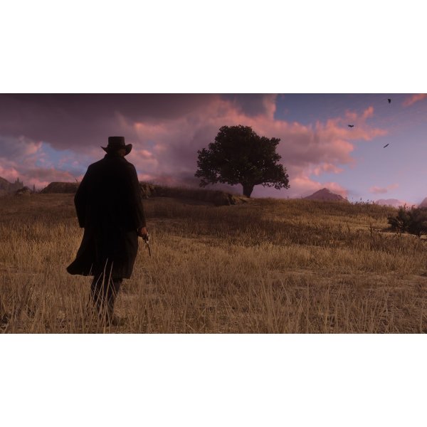 Red Dead Redemption 2 til PS4