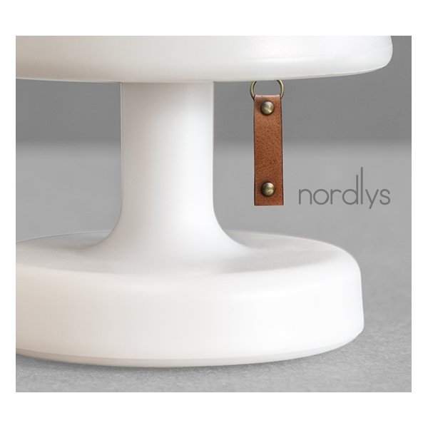 Gave: Nordlys LED lampe