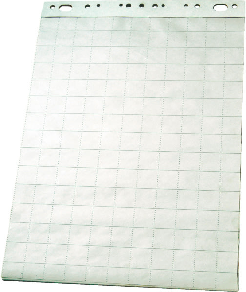 Esselte Flipoverpapir, kvadreret, 95x65 cm, 50 ark