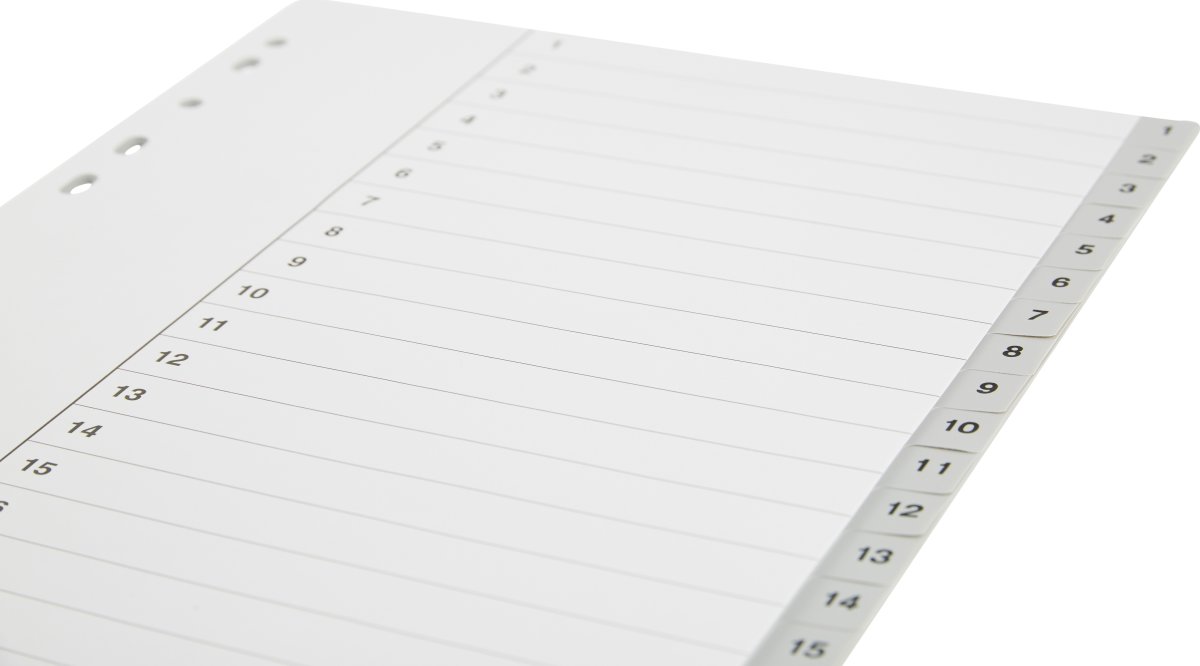 Budget Register | A4 | Plast | 1-20
