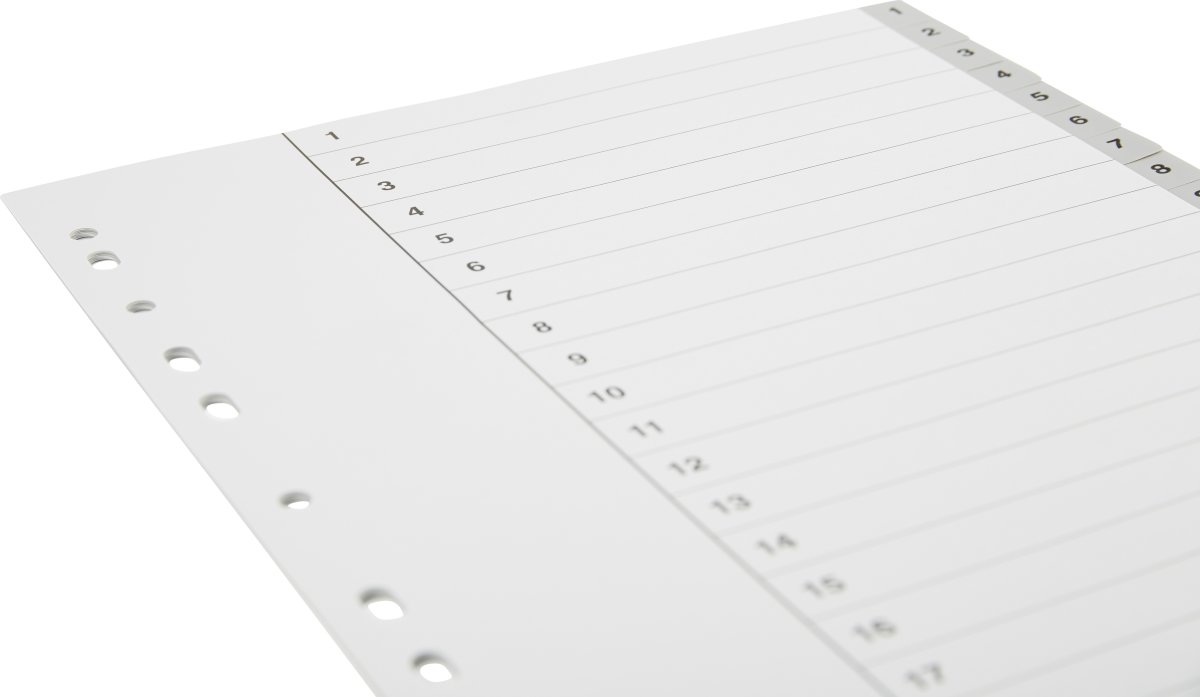 Budget Register | A4 | Plast | 1-20