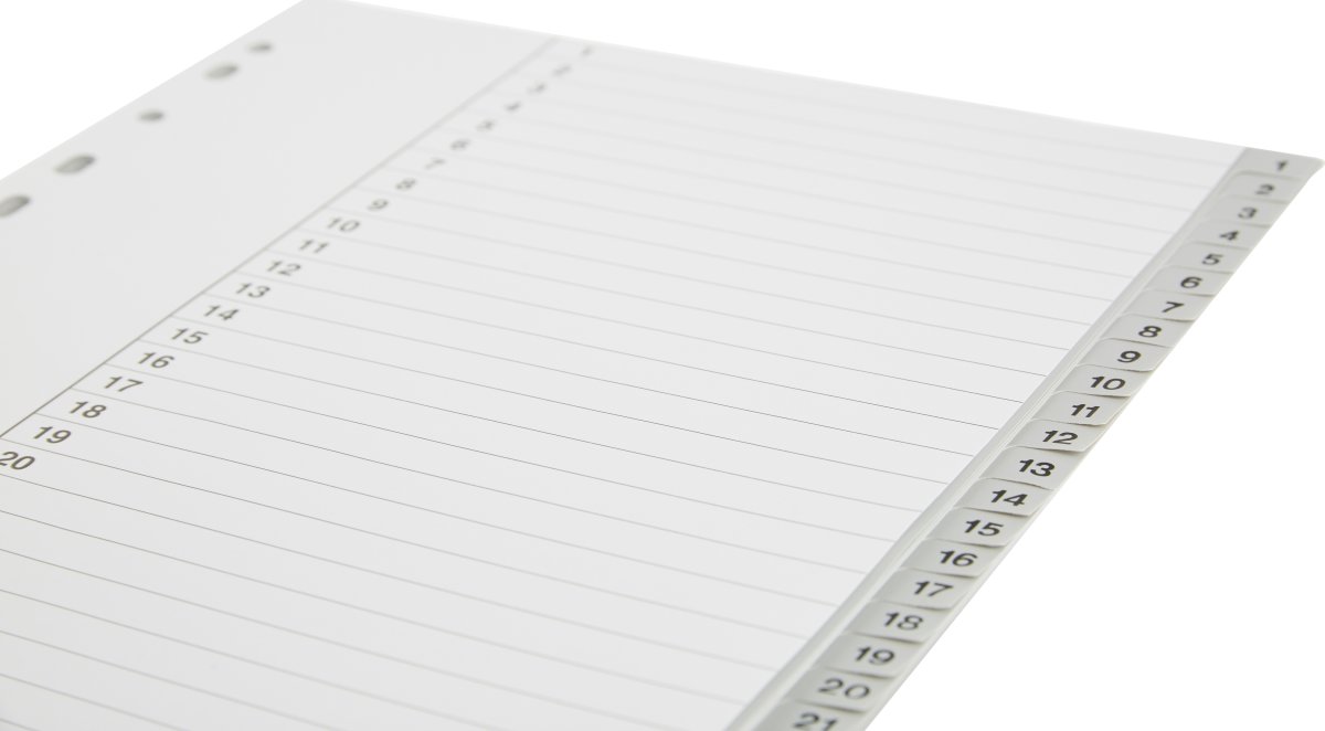 Budget Register | A4 | Plast | 1-31