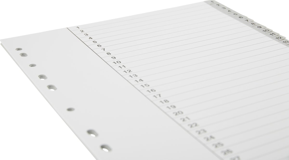 Budget Register | A4 | Plast | 1-31