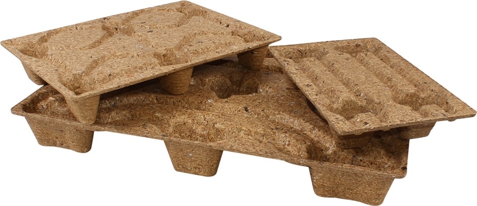 Palle | Træ Inka | 800x600 mm