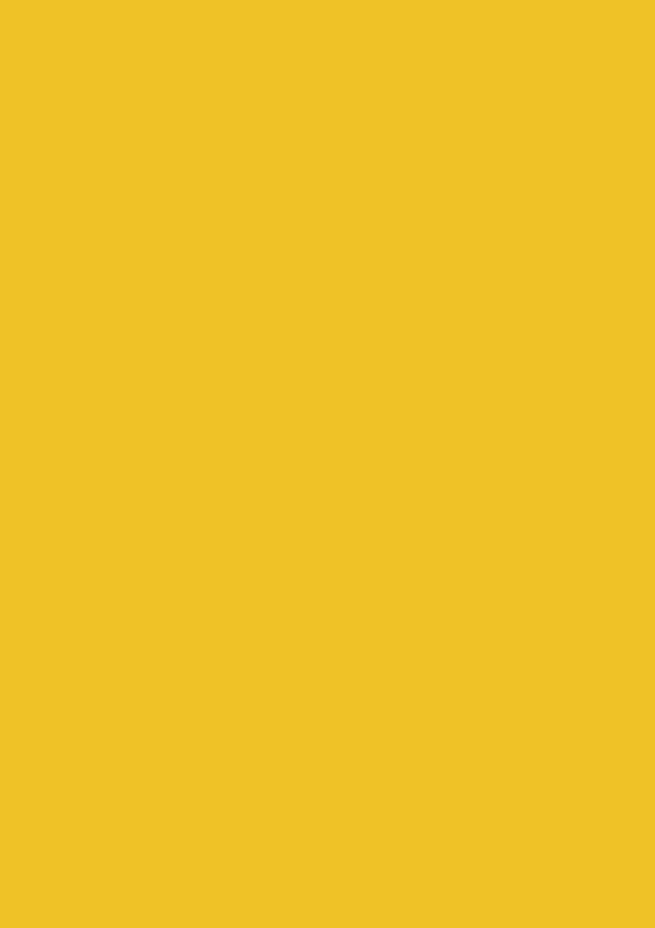 Image Coloraction A4, 80g, 500ark, Dark yellow