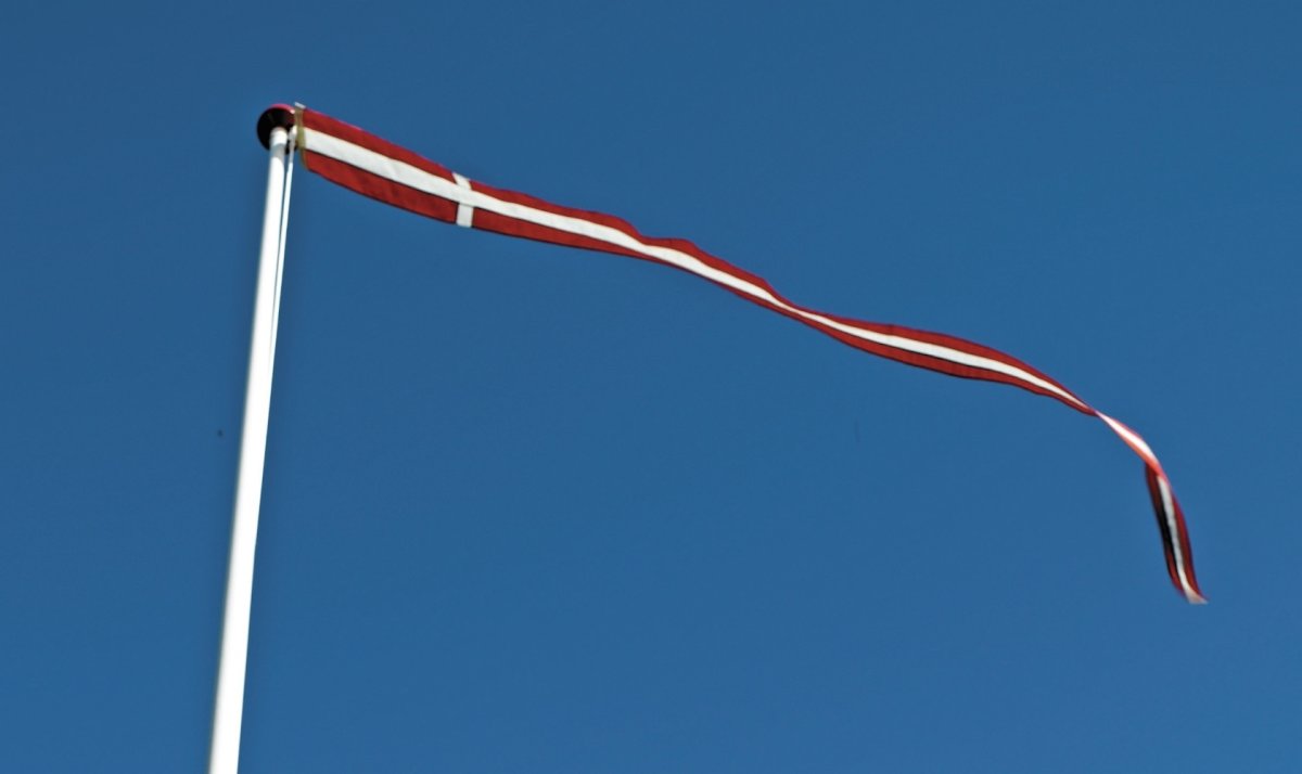 Dano Mast Dannebrogsvimpel, 600x23 cm, 12-13 m