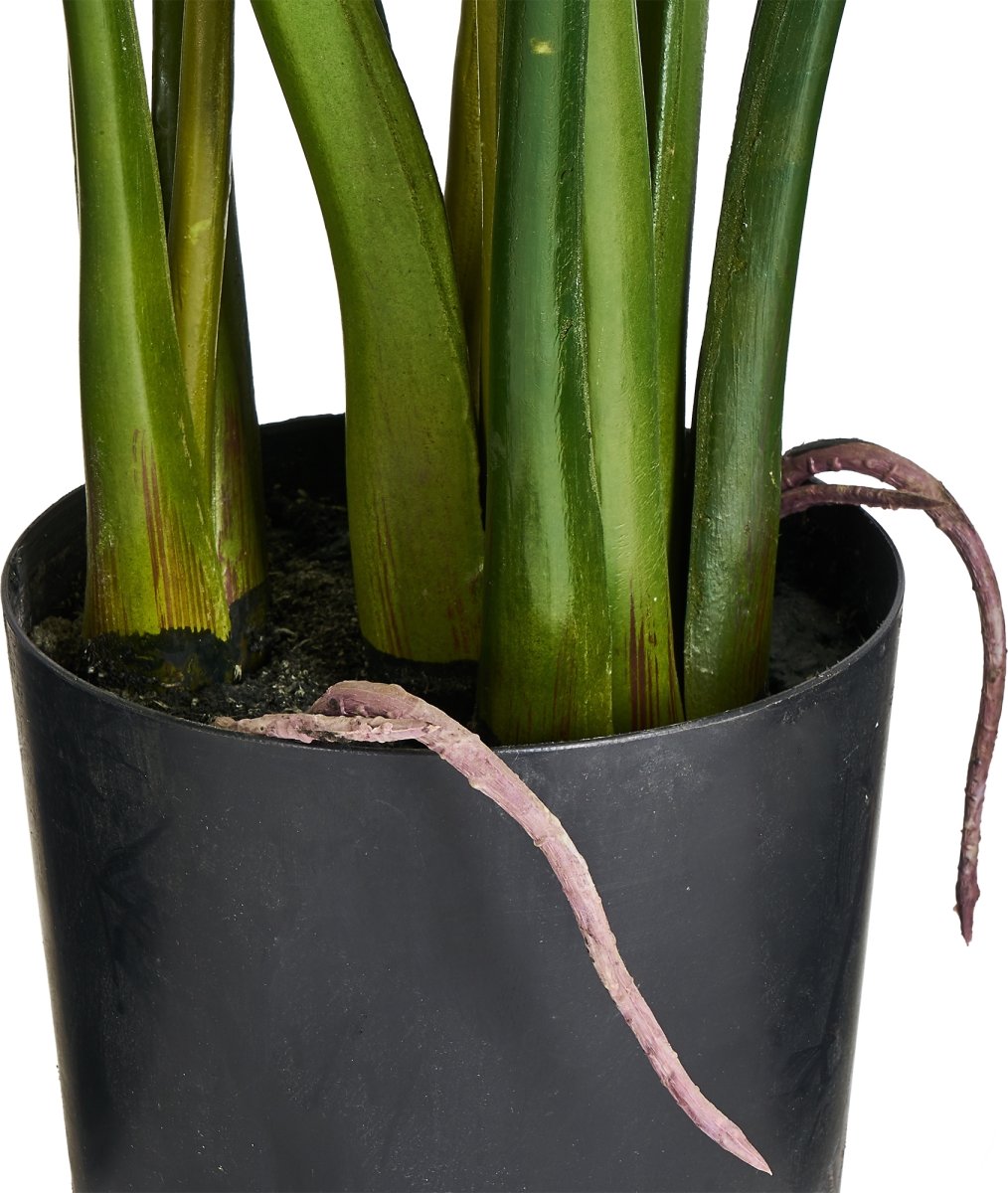 Monstera Plante inkl. potte, 110 cm