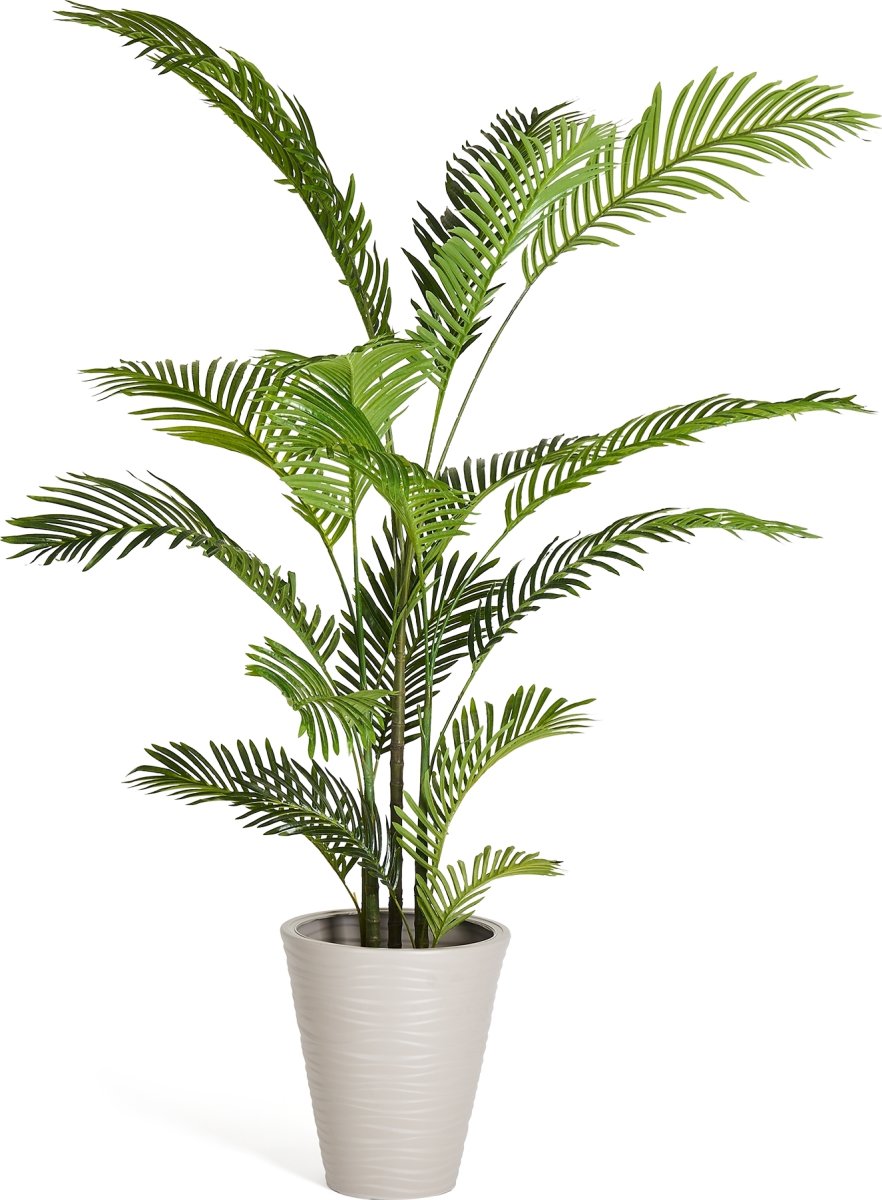 Palme Træ, 150 cm