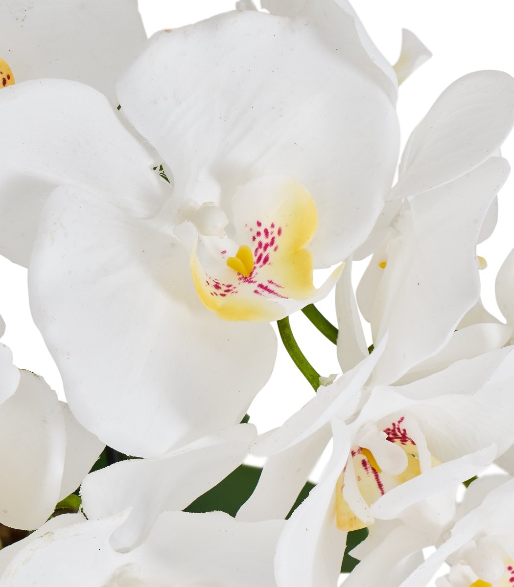 Orkide, 42 cm, Hvid