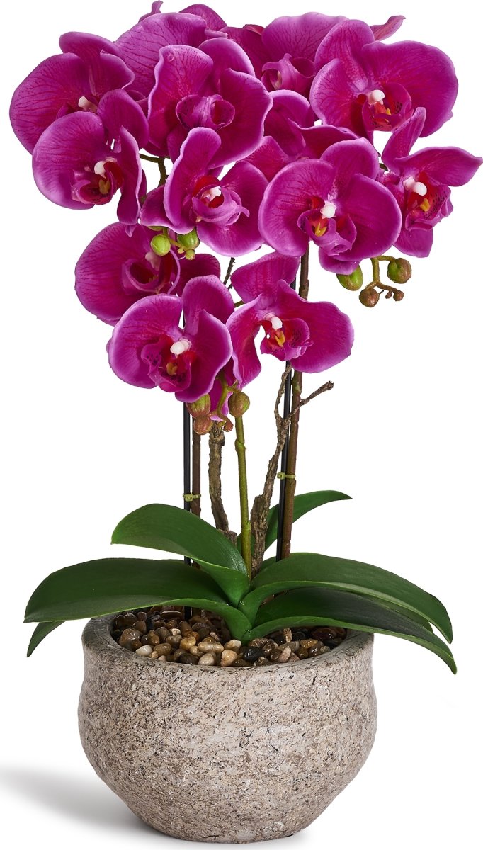 Orkide, 42 cm, Lilla