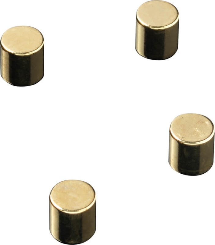 apotek venlige voksen NAGA stærke cylinder magneter, 4 stk., guld | Lomax A/S
