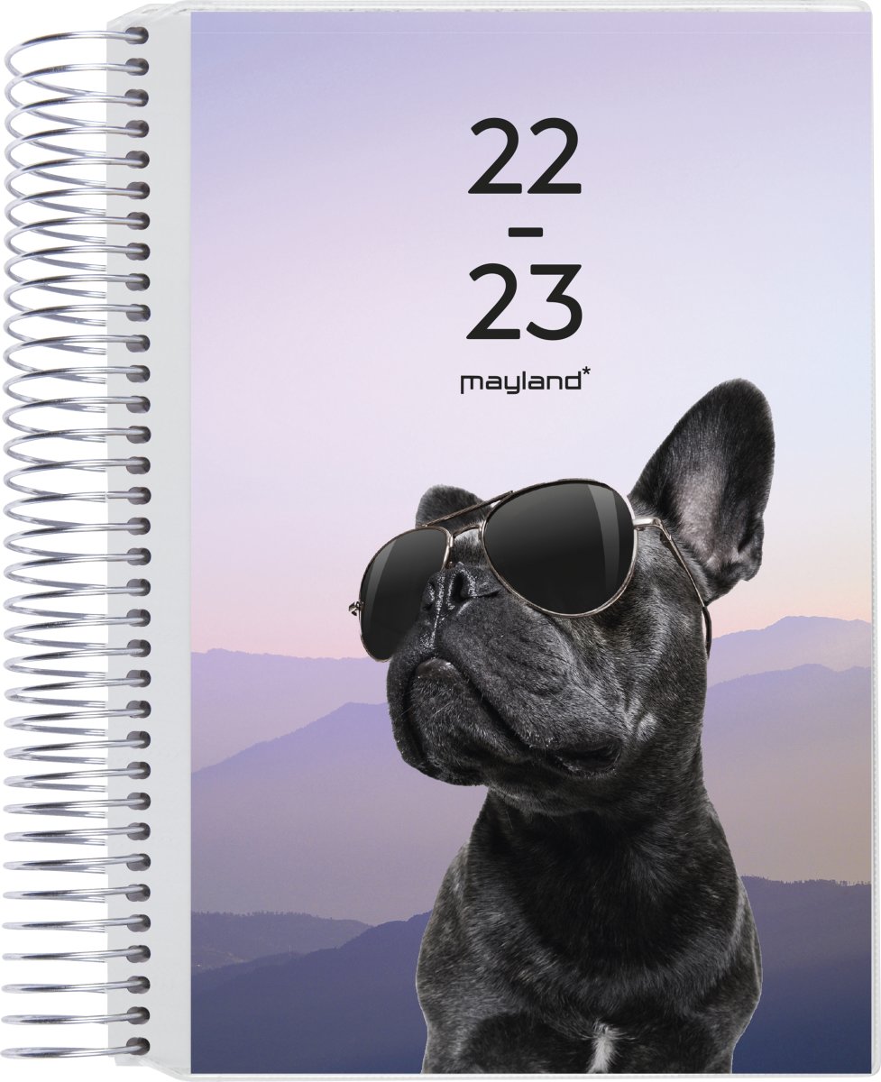 Mayland 22/23 Kalender | 2i1 med klap | Stor