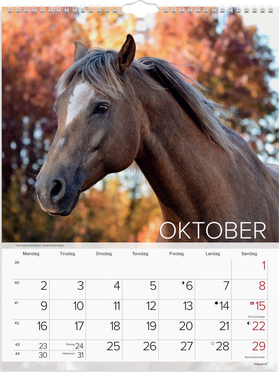 Mayland 2023 Vægkalender | Heste