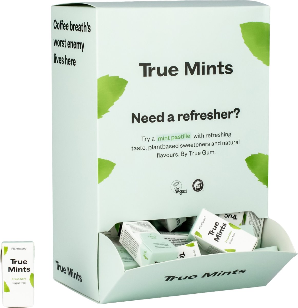 True Mints Mintpastil Display, 80 pakker á 9 stk.