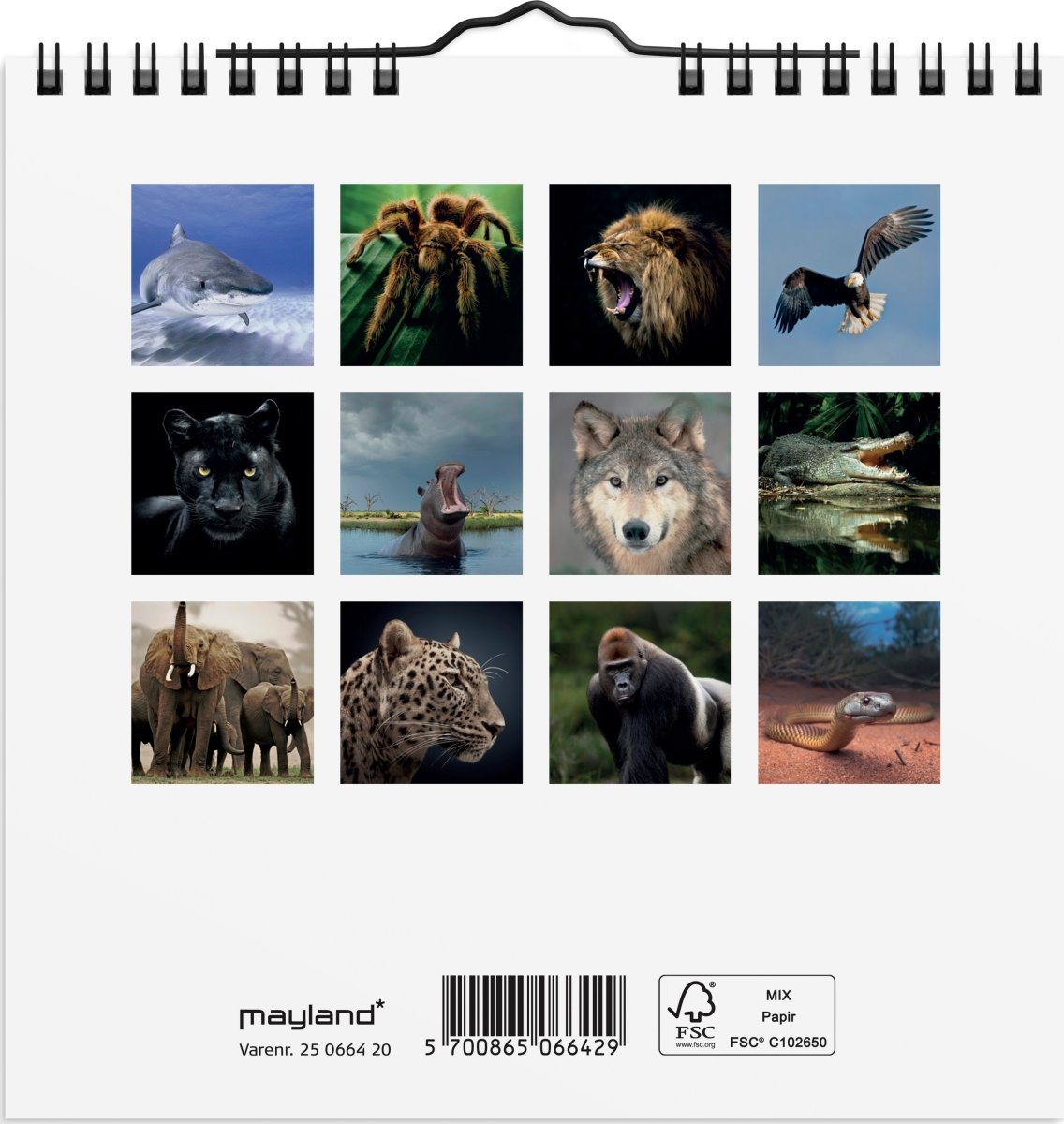 Mayland 2025 Vægkalender Mini, verdens dyr
