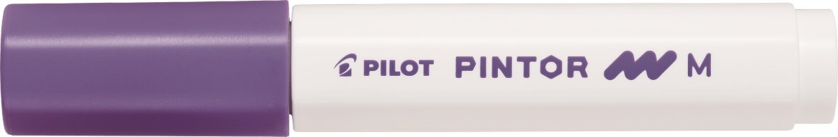 Pilot Pintor Marker | M | Violet