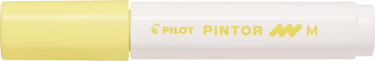 Pilot Pintor Marker | M | Pastel | Gul