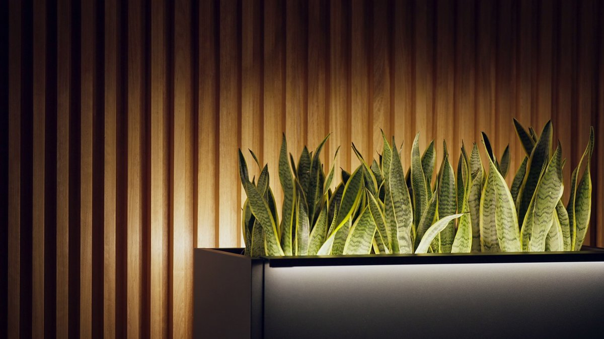 Herstera Plantekrukke m/lys, inde, sort, 100x40x80
