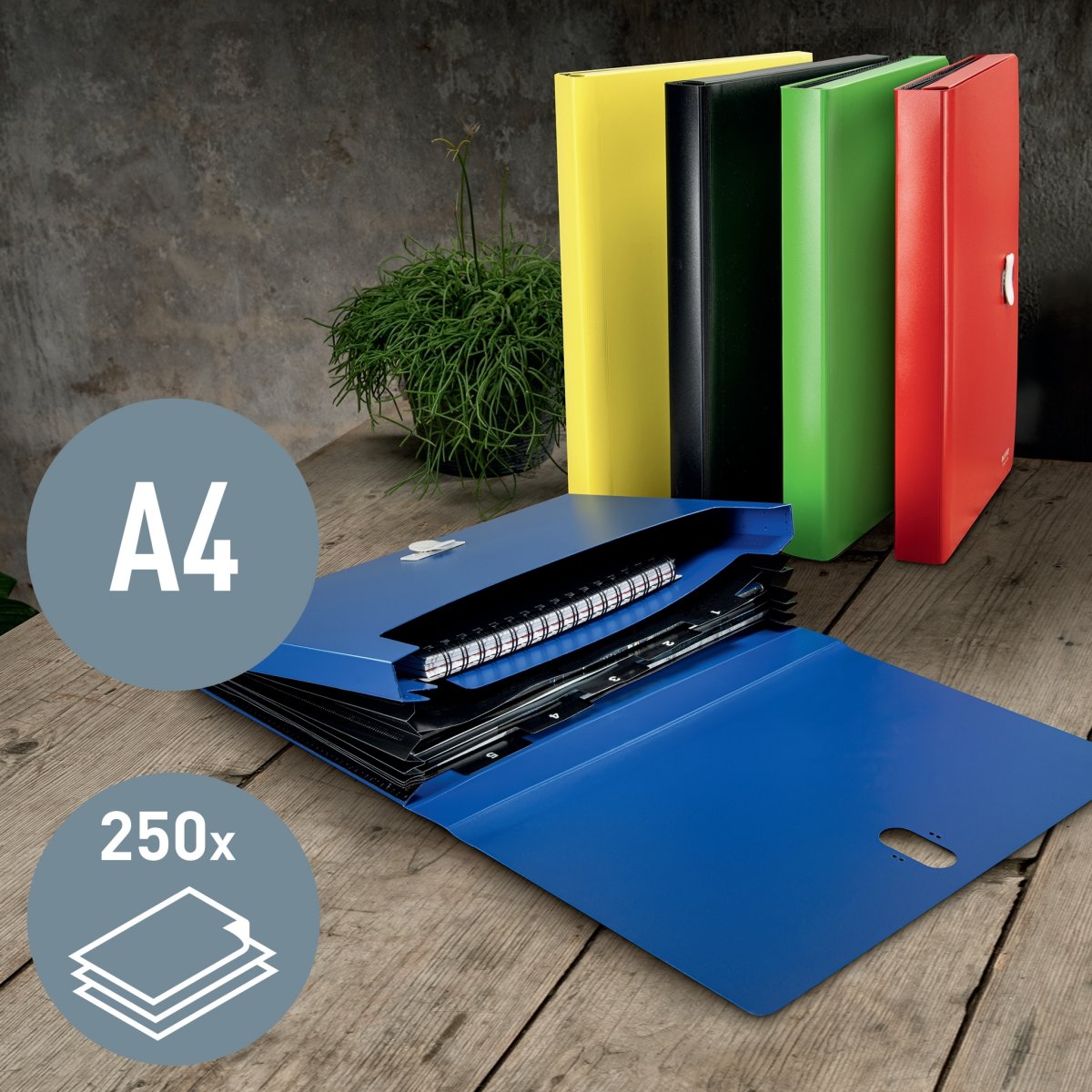 Leitz Recycle Projektmappe | A4 | Blå