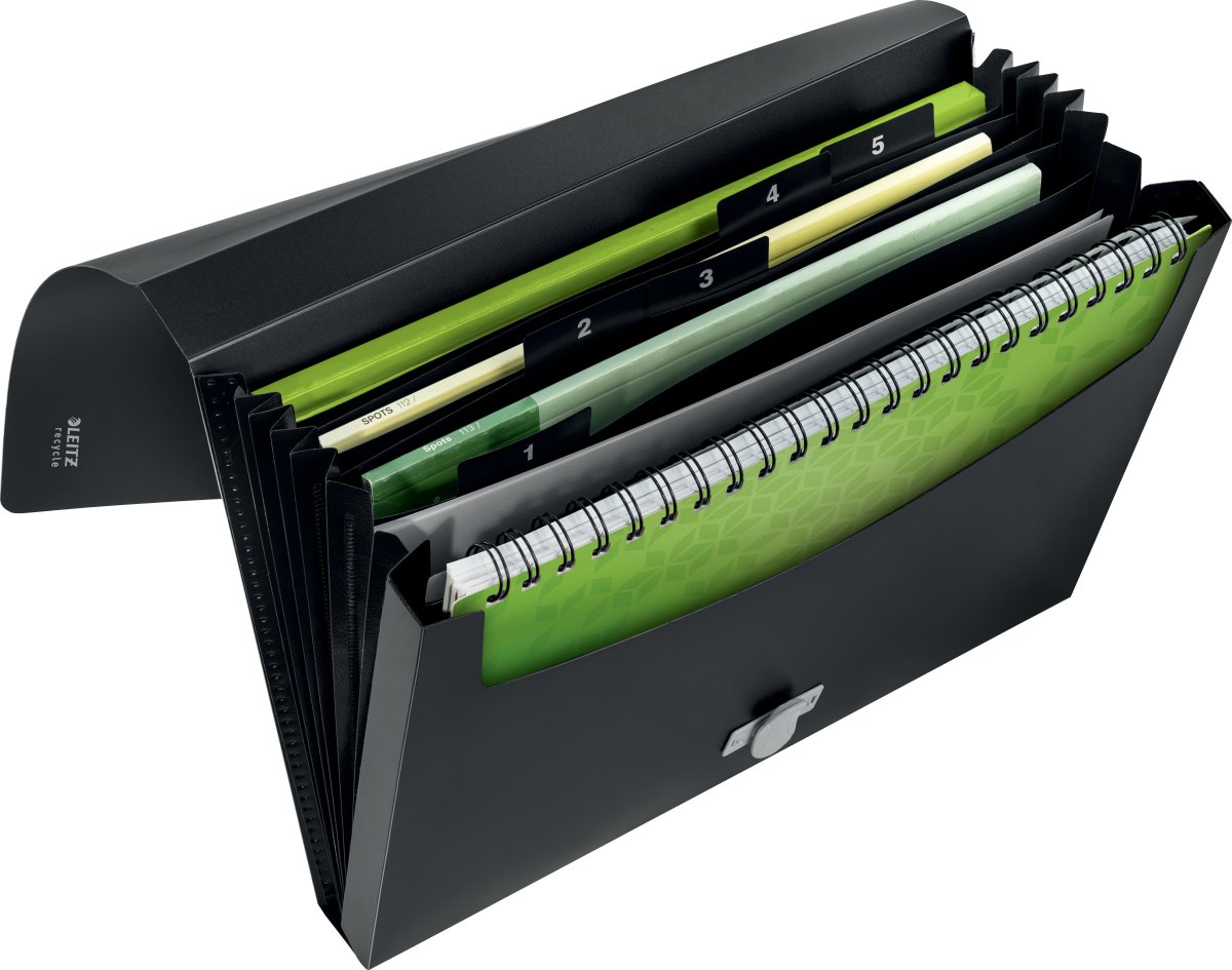 Leitz Recycle Projektmappe | A4 | Sort