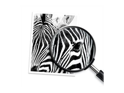 DEMO HP no 711 C1Q10A Printhoved udskiftningskit