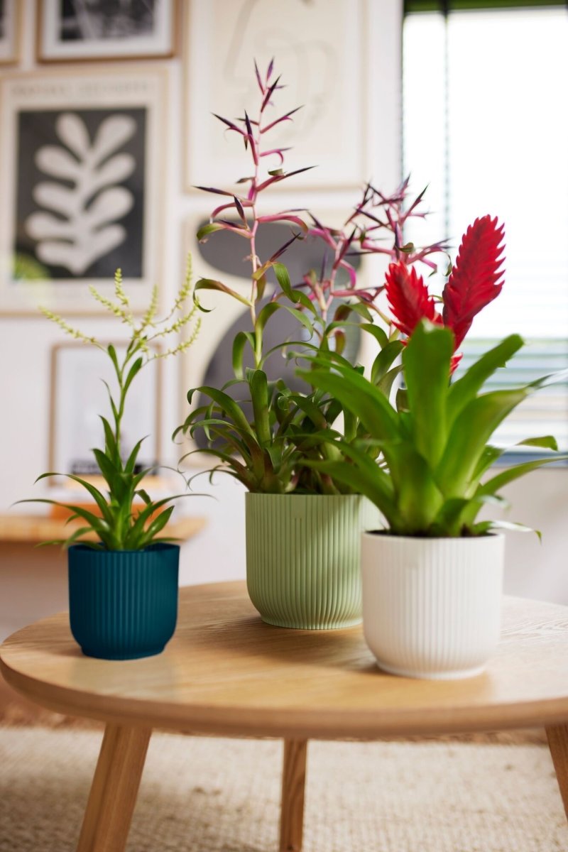 Elho Vibes Blomsterkrukke, 16 cm, sorbet green