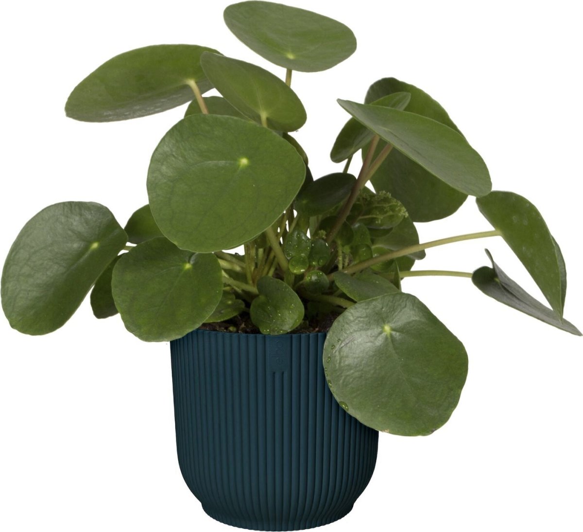Elho Vibes Blomsterkrukke, 25 cm, deep blue