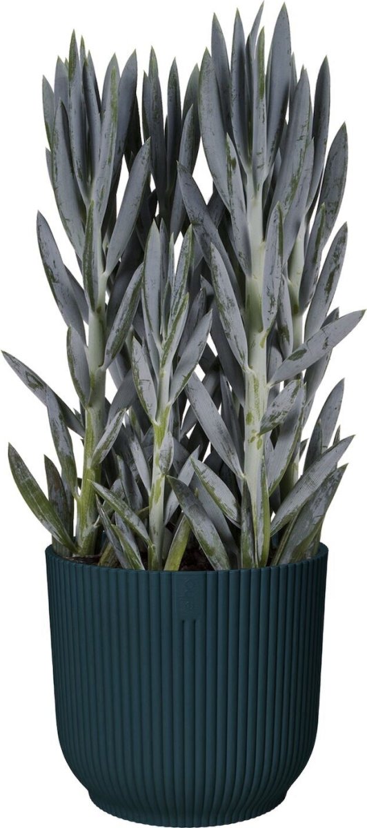 Elho Vibes Blomsterkrukke, 25 cm, deep blue