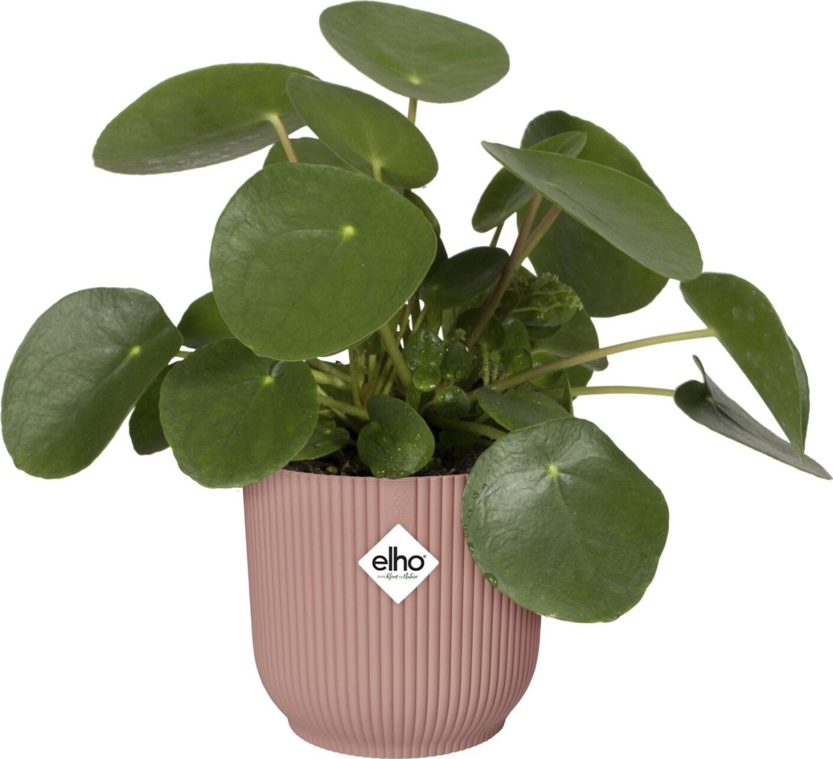 Elho Vibes Blomsterkrukke m/hjul, 35 cm, pink