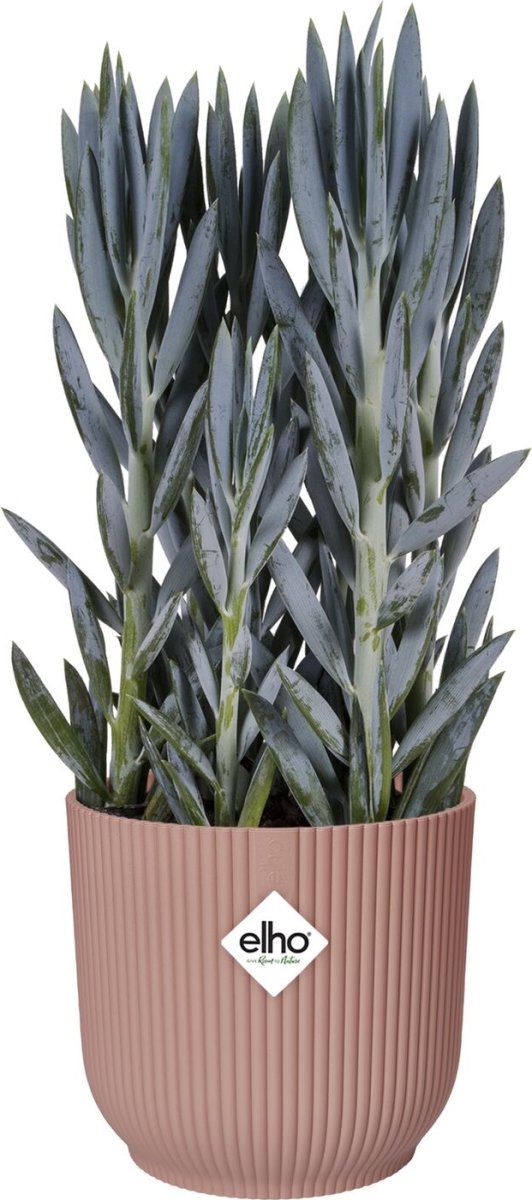 Elho Vibes Blomsterkrukke m/hjul, 35 cm, pink