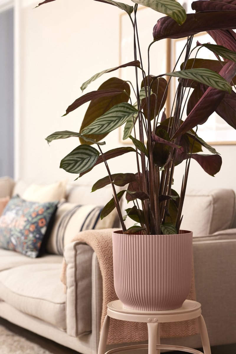 Elho Vibes Blomsterkrukke m/hjul, 35 cm, pink