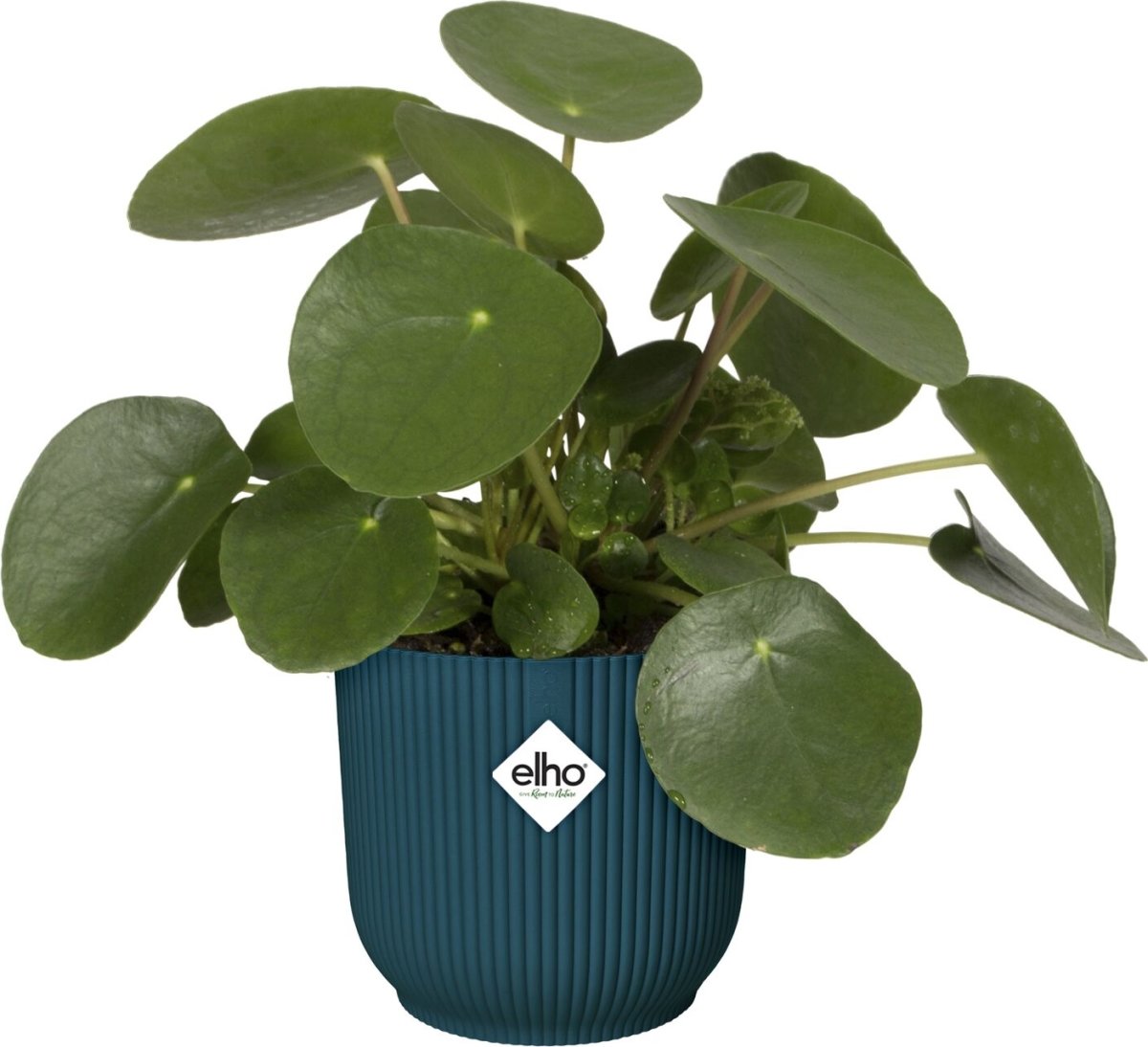 Elho Vibes Blomsterkrukke m/hjul, 35 cm, deep blue