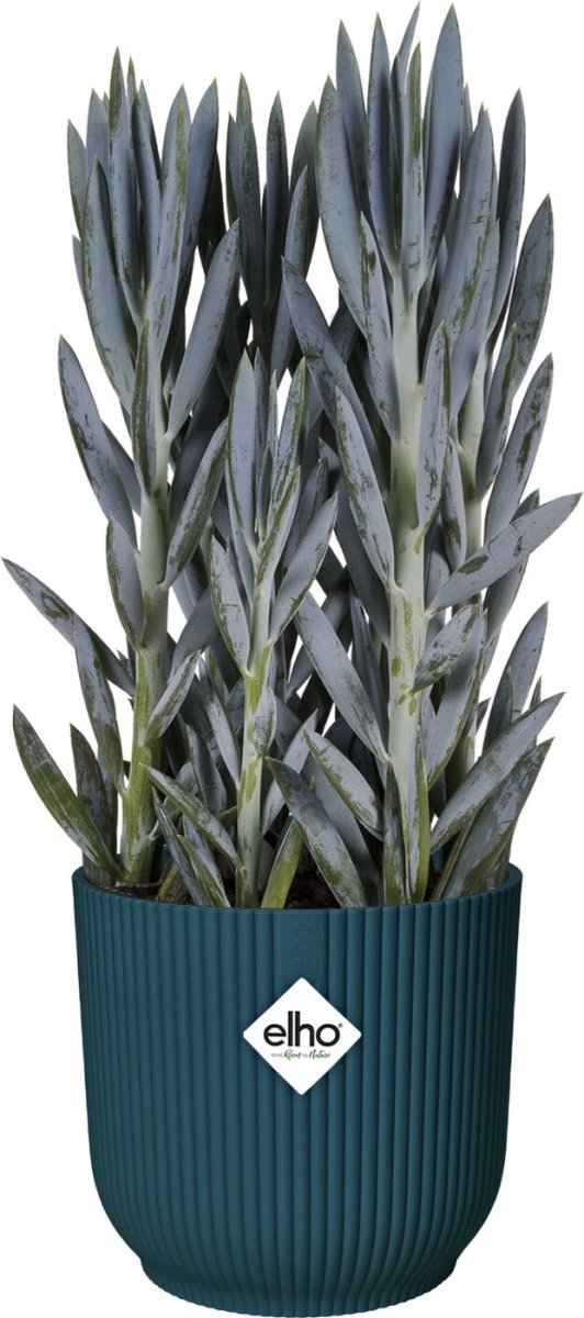 Elho Vibes Blomsterkrukke m/hjul, 35 cm, deep blue