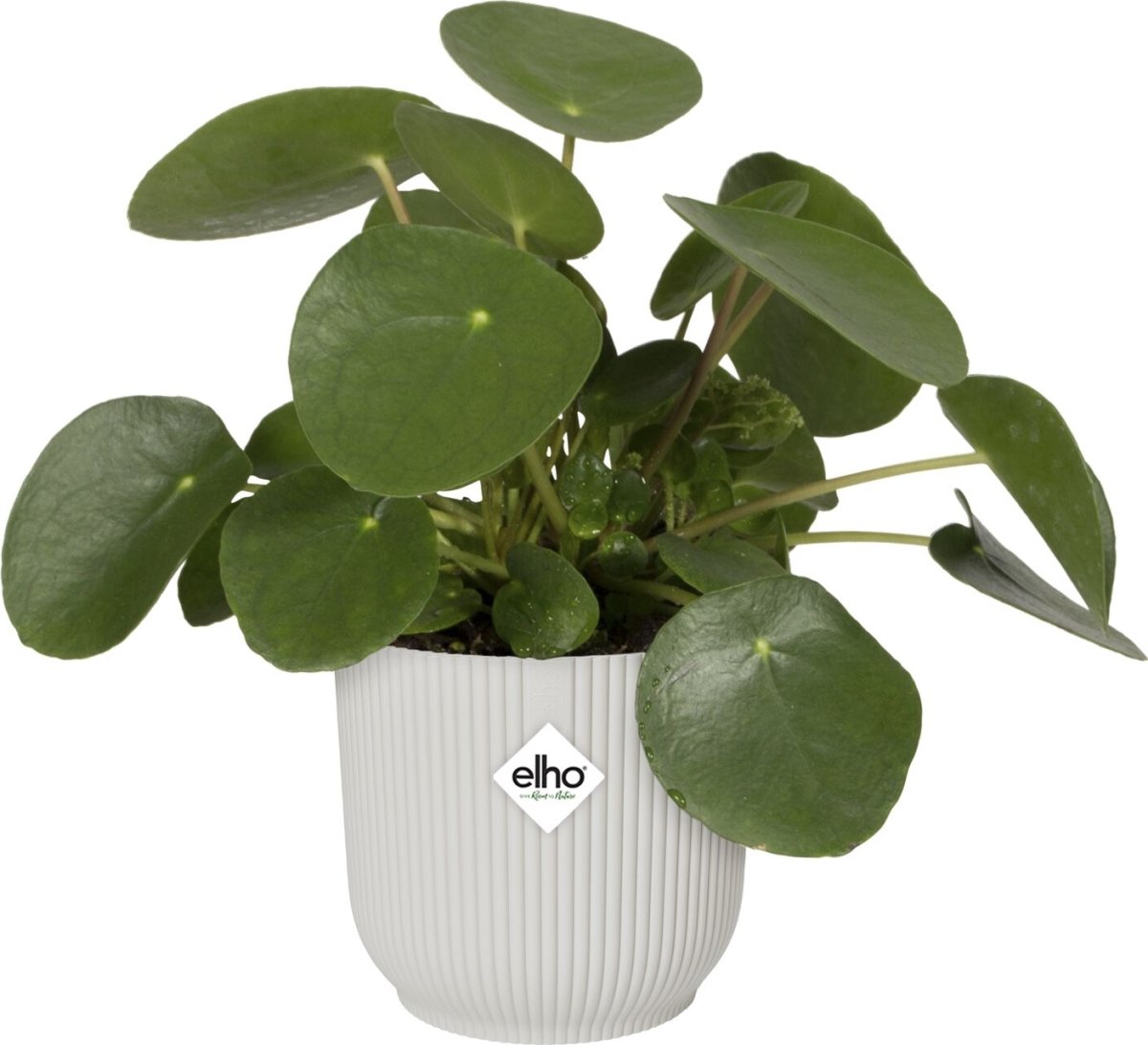 Elho Vibes Blomsterkrukke m/hjul, 35 cm, white