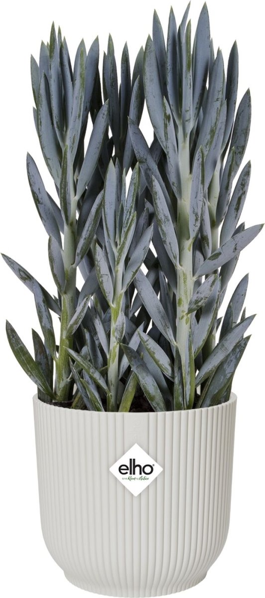 Elho Vibes Blomsterkrukke m/hjul, 35 cm, white