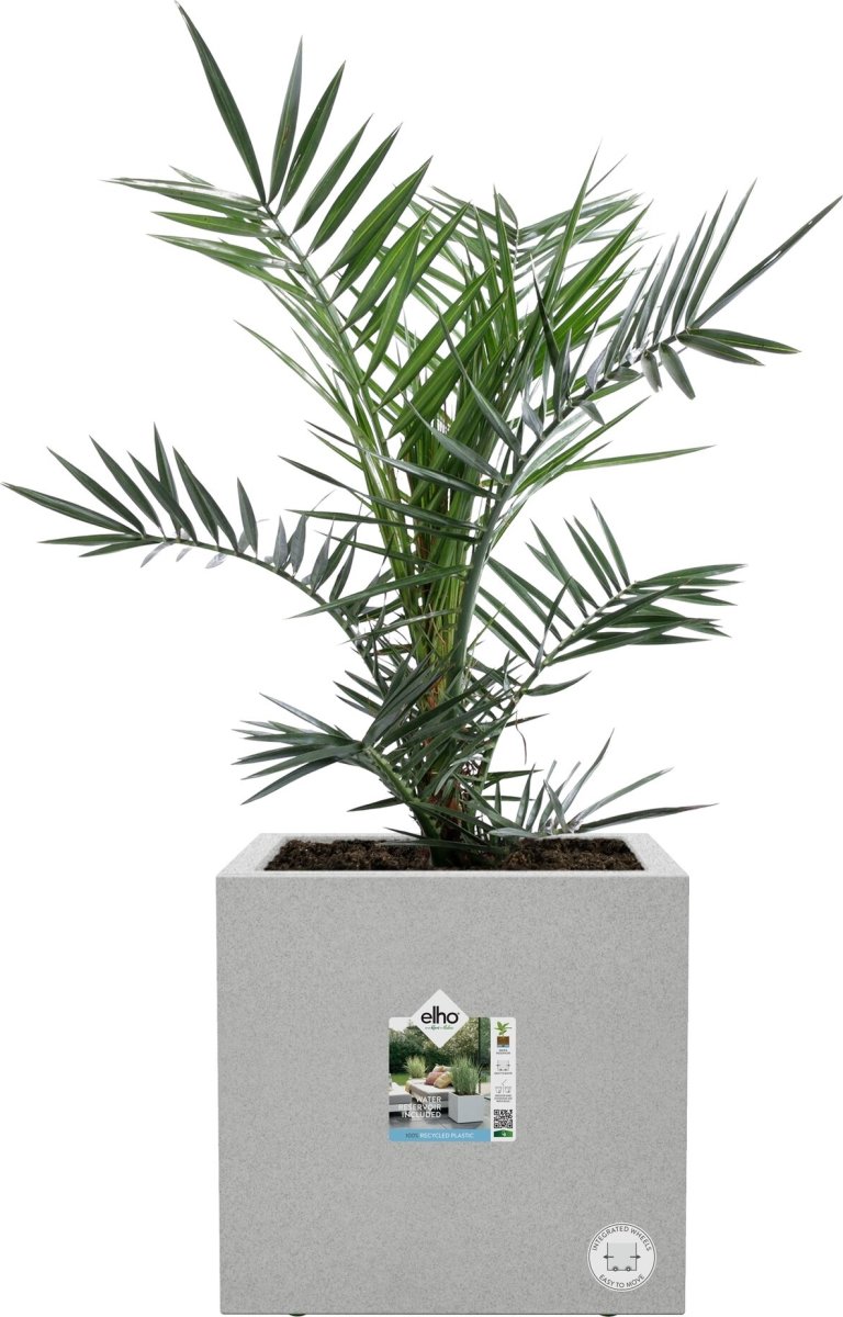 Elho Vivo Next Blomsterkrukke, 30x30cm, concrete