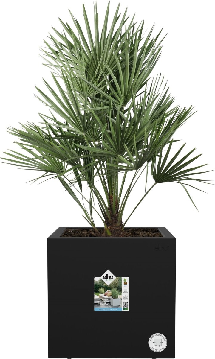 Elho Vivo Next Blomsterkrukke, 40x40 cm, black
