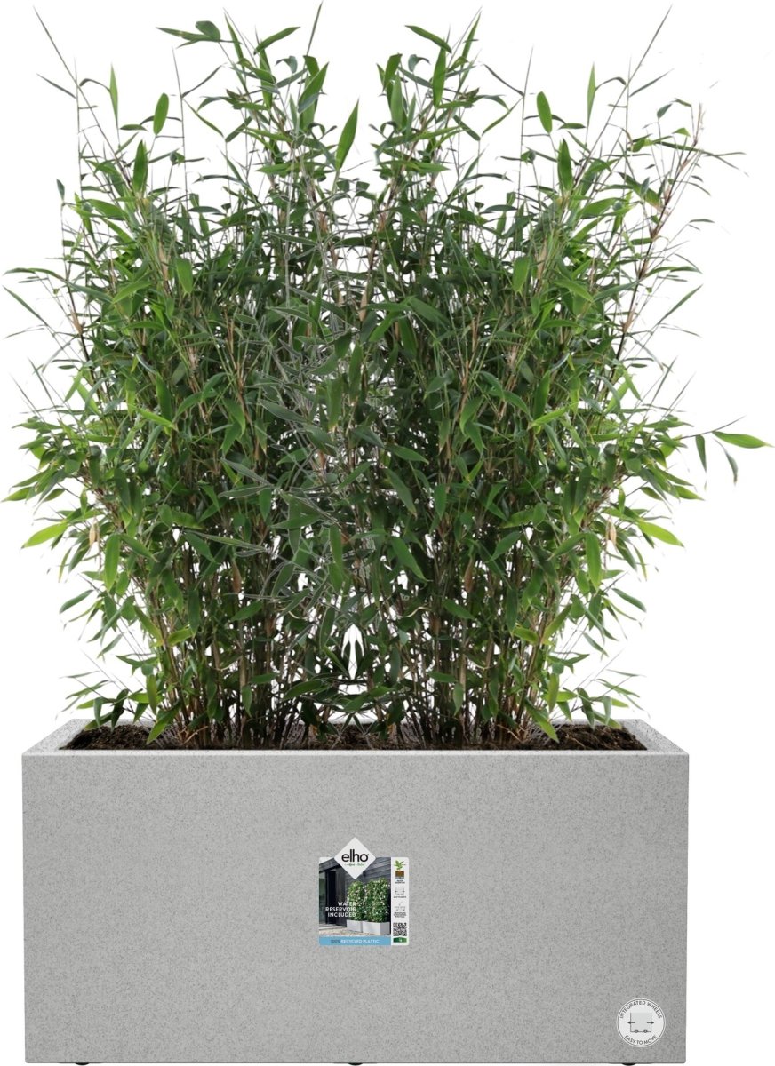 Elho Vivo Next Blomsterkrukke, 60x30 cm, concrete