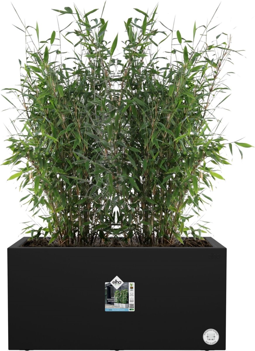 Elho Vivo Next Blomsterkrukke, 60x30 cm, black