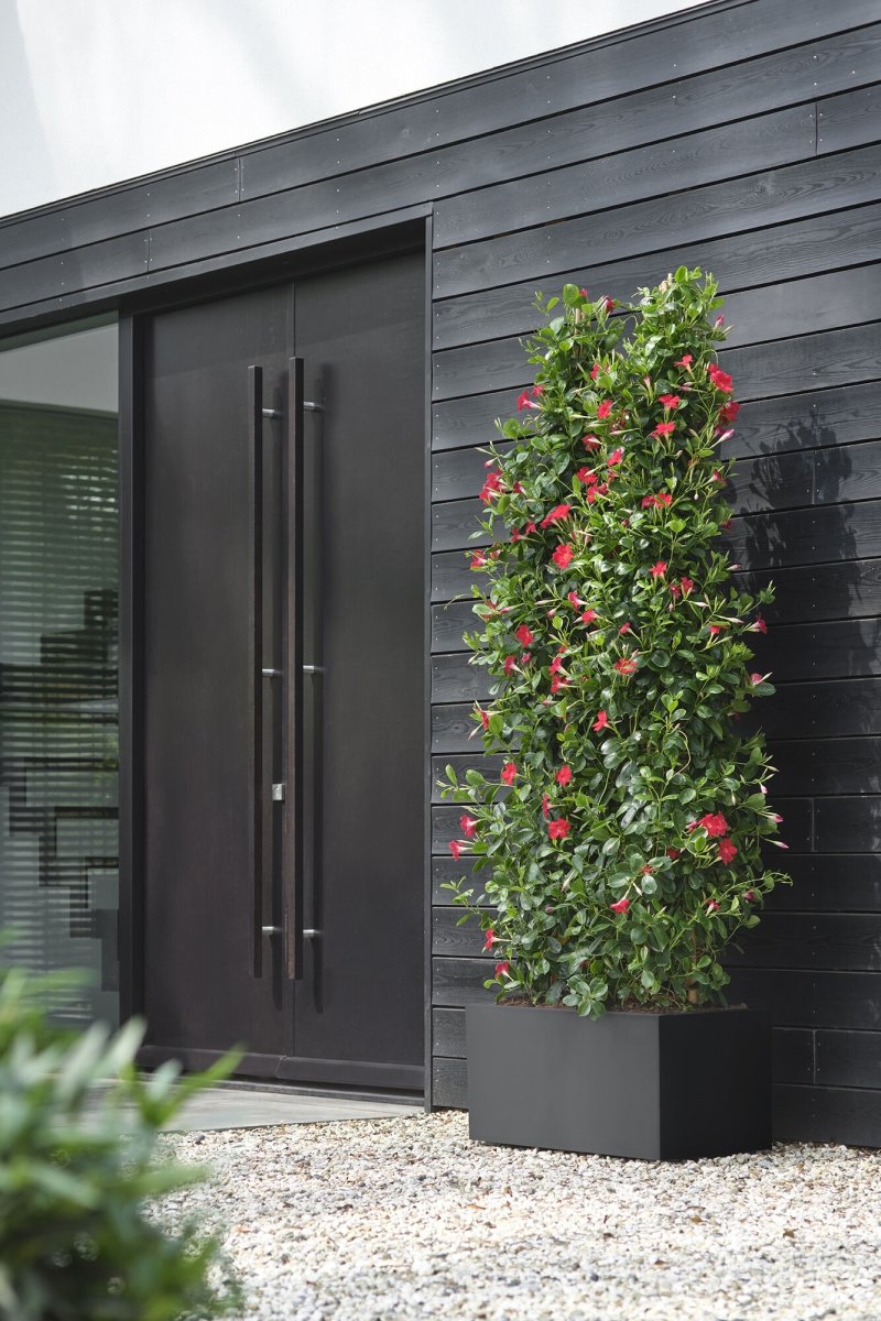 Elho Vivo Next Blomsterkrukke, 60x30 cm, black