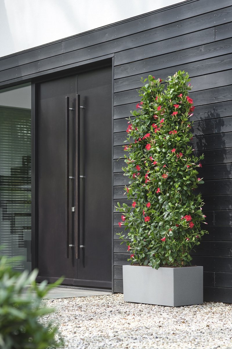 Elho Vivo Next Blomsterkrukke, 80x39 cm, concrete