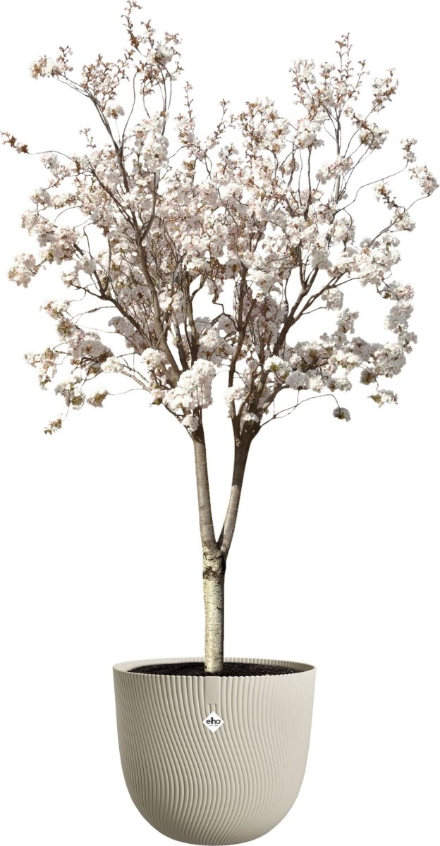 Elho Sereh Blomsterkrukke, 47 cm, mushroom beige