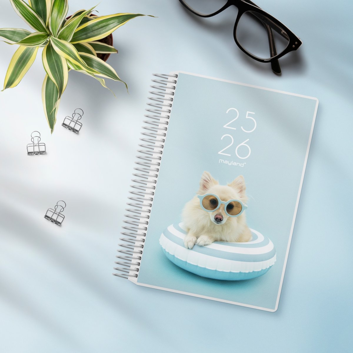 Mayland 25/26 Dagkalender, 2i1, Stor