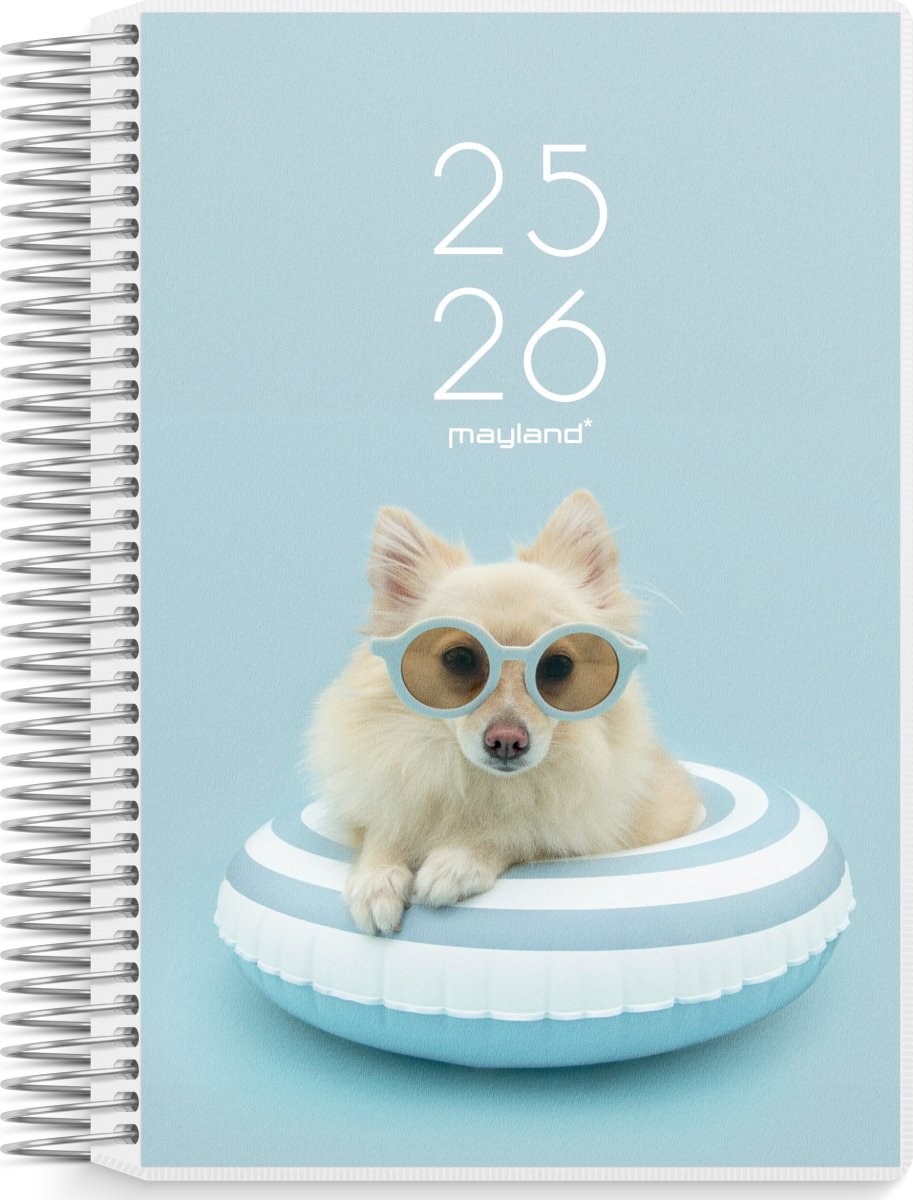 Mayland 25/26 Dagkalender, 2i1, Stor