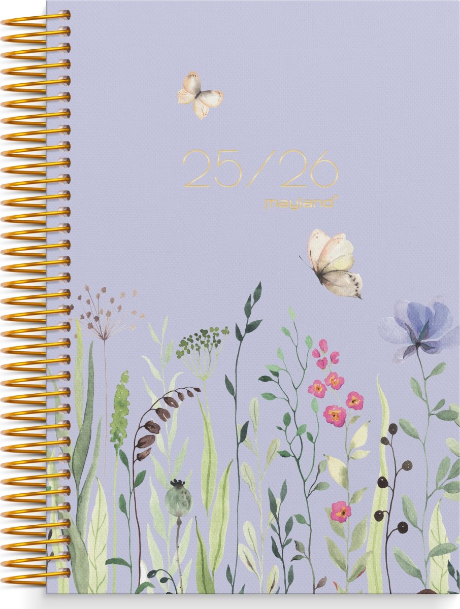 Mayland 25/26 Dagkalender, Story, Stor