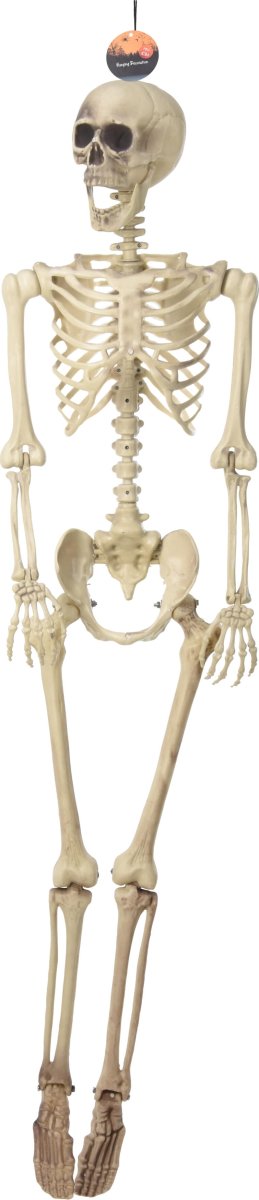 Hængeskelet, klassisk, H165 cm, polypropylen