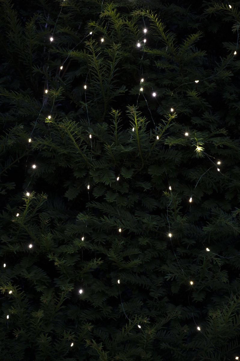 Juletræs top Lyskæde m/225 LED, 15x15 LED, 1,5m