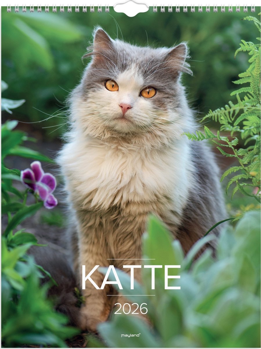 Mayland 2026 Vægkalender, katte