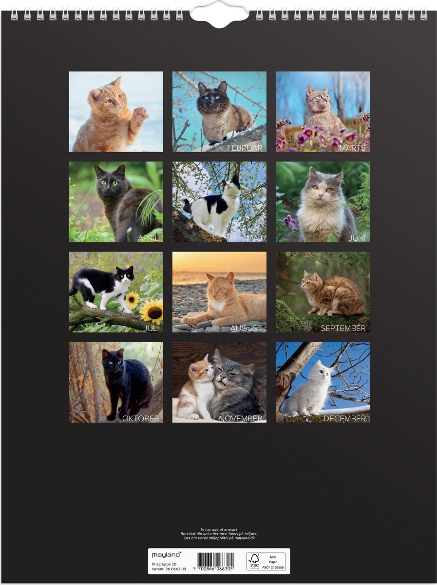 Mayland 2026 Vægkalender, katte
