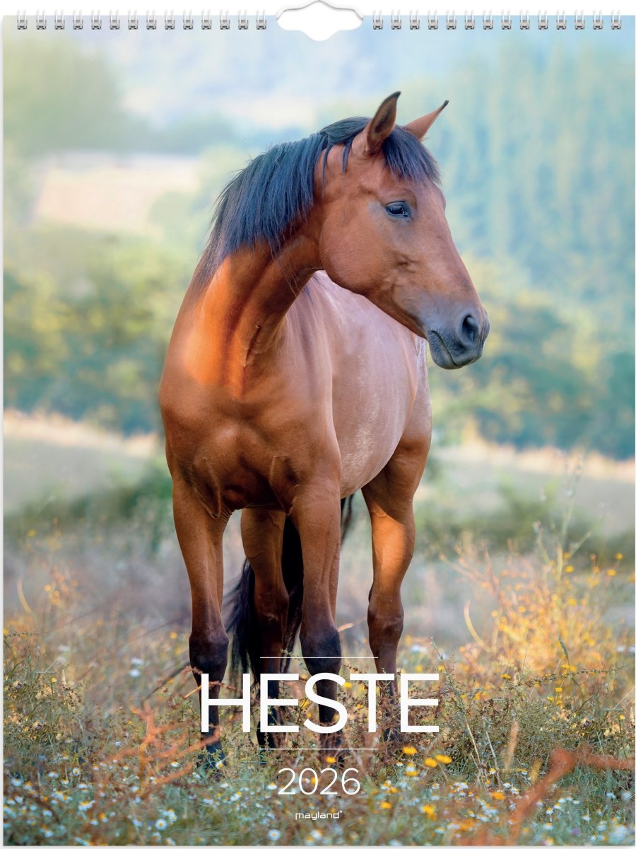 Mayland 2026 Vægkalender, heste